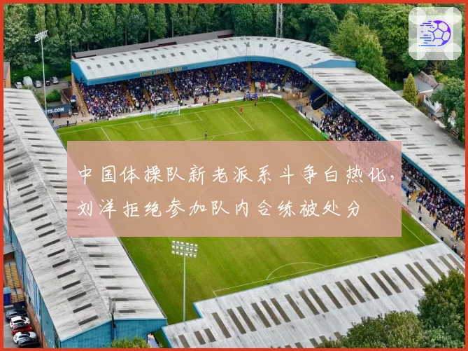 中国体操队新老派系斗争白热化，刘洋拒绝参加队内合练被处分