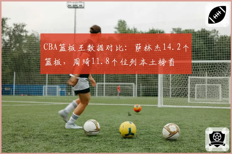 CBA篮板王数据对比：萨林杰14.2个篮板，周琦11.8个位列本土榜首